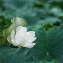 서산서원 네이버블로그