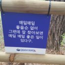 숲속의 베리팜 이미지