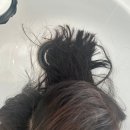 에벤에셀헤어 이미지