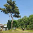 궁평목장 | 🐎 설 연휴 가족 나들이 추천~말과 함께 걸으며 힐링하는, 화성 궁평캠프 승마장