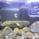 대하농장 이미지