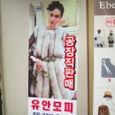 유안이앤씨