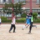 내기초등학교 이미지