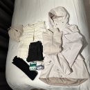 솔밭지 | 등산초보 한라산 도전 성판악코스 성공후기 !