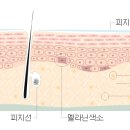 우리워시 이미지