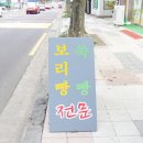 신설동보리빵 | 제주도 특산품 부모님 선물, 아이들 간식으로 딱! ♡
