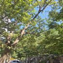 자연밸리 관광농원 이미지