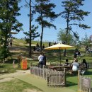 정자 반려견 이미지