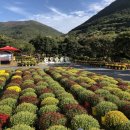 완도수목원 이미지