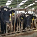 영훈목장 이미지