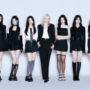 미니멀새비지