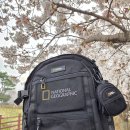 251 | 내셔널지오그래픽 파치 백팩 N251ABG020 실사용 후기ㅣ중고등학생 대용량 어깨 편한 책가방 추천