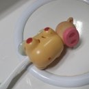 돼지모양 화장실 이미지