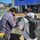 부산경상대학교 반려견유치원 이미지