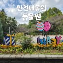 인천대공원(어린이동물원) | [인천 아이와 갈만한곳] 인천대공원 어린이동물원 가을나들이 (주차정보)