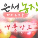 은서농장 이미지