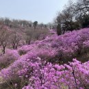 경기둘레길 부천55코스 이미지
