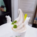 오셨뜨래요메밀여행 | '강원도' 1박2일 여행기 (원주, 평창, 강릉, 동해, 태백, 정선)