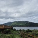 본녹산 이미지