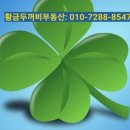 두꺼비부동산중개사무소 이미지