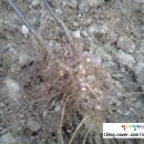 조이농장 이미지