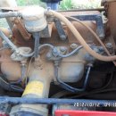 국제농장 이미지