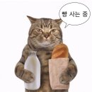 토요코인 부산역1 이미지
