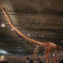 마멘치사우루스 이미지