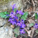 금창초등학교 이미지