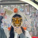 브라이트 독 이미지