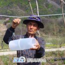 삼척시농업기술센터(미로) 티스토리