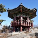 하늘보배 네이버블로그