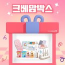 크라잉베베 임신축하 박스 후기 🖤