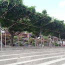 천안중앙고등학교 이미지