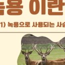 북일약국 이미지