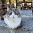 한바다식당 이미지