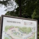 잣나무숲 | ⛺️포천 각흘계곡 캠핑장 잣나무 숲 사이트 후기