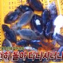 달빛좌대 이미지