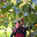 한들농장 이미지