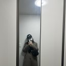 애비뉴봉봉