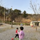 영우네 농어촌 관광농원 이미지