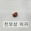 천보성 이미지