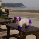 봉자펜션 이미지