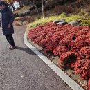소슬촌 이미지