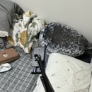 호치킨 팽성점 이미지