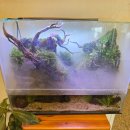 오륜대로 | 부산 테라리움체험 초보도 가능한 테라리움 제이드앤