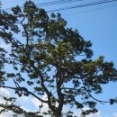 어르니 펜션 이미지