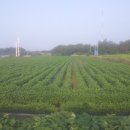 검바우농장 이미지