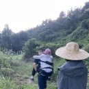 고성소방서 이미지