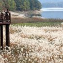 대청호수로 이미지